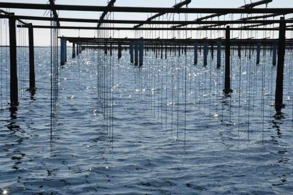 Grande Villa Neuve Avec Piscine Pres Mer Et Sete بالاروك ليه بان المظهر الخارجي الصورة